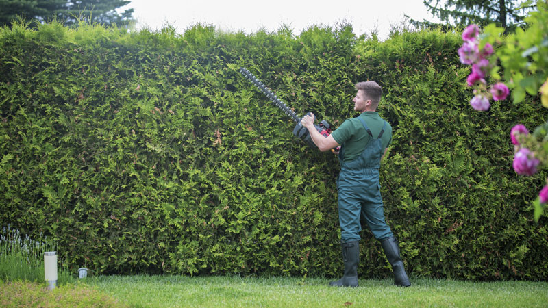 Kies de beste heggenschaar voor je tuin